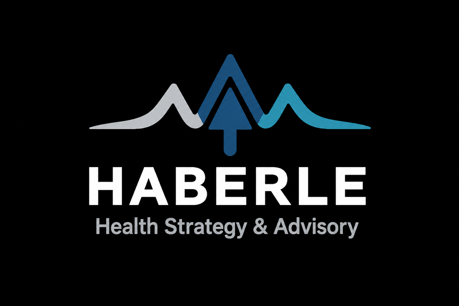 Haberle Health Strategy &amp; Advisory