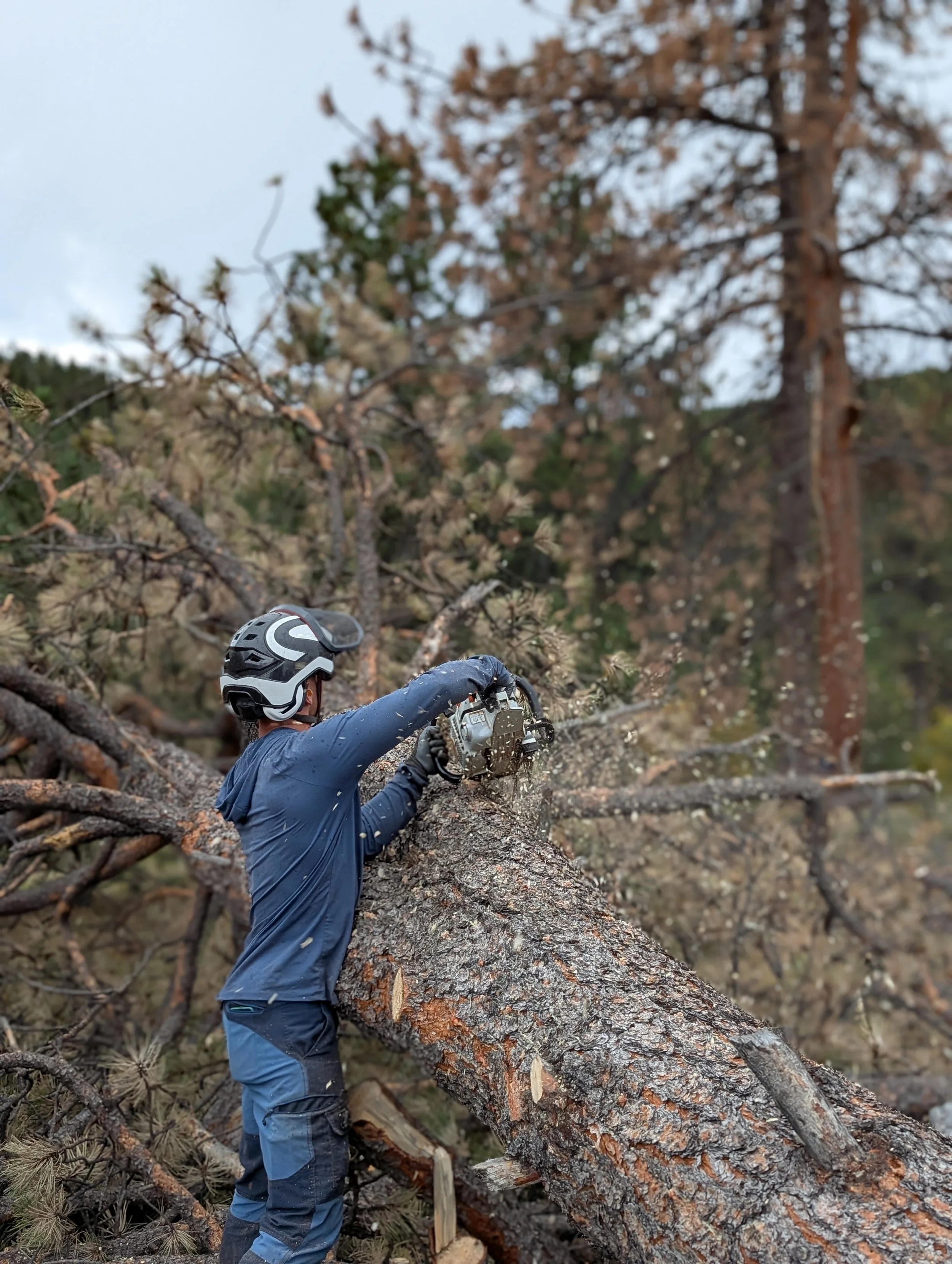 Wildfire Defensible Space. Wildfire Fuel Mitigation. Wildfire Tree Removal. Wildfire Prevention