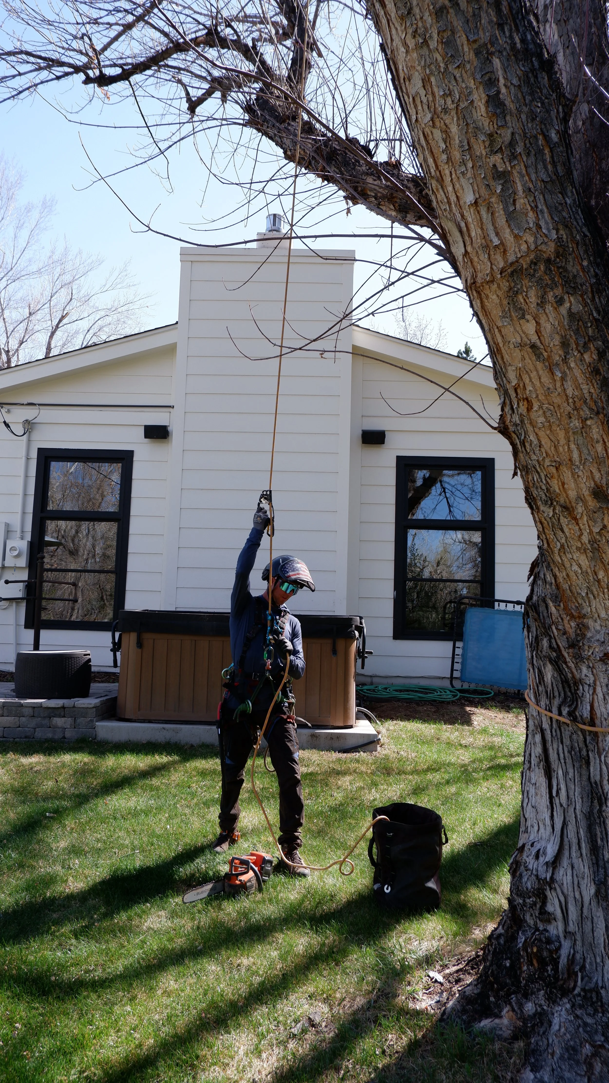 A person in safety gear and helmet preparing to cut or trim a large tree with a chainsaw outdoors near a house.