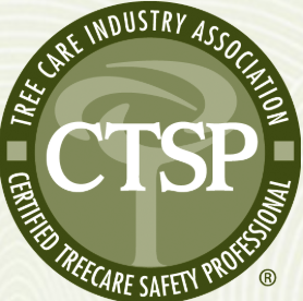 Certified and accredited tree service