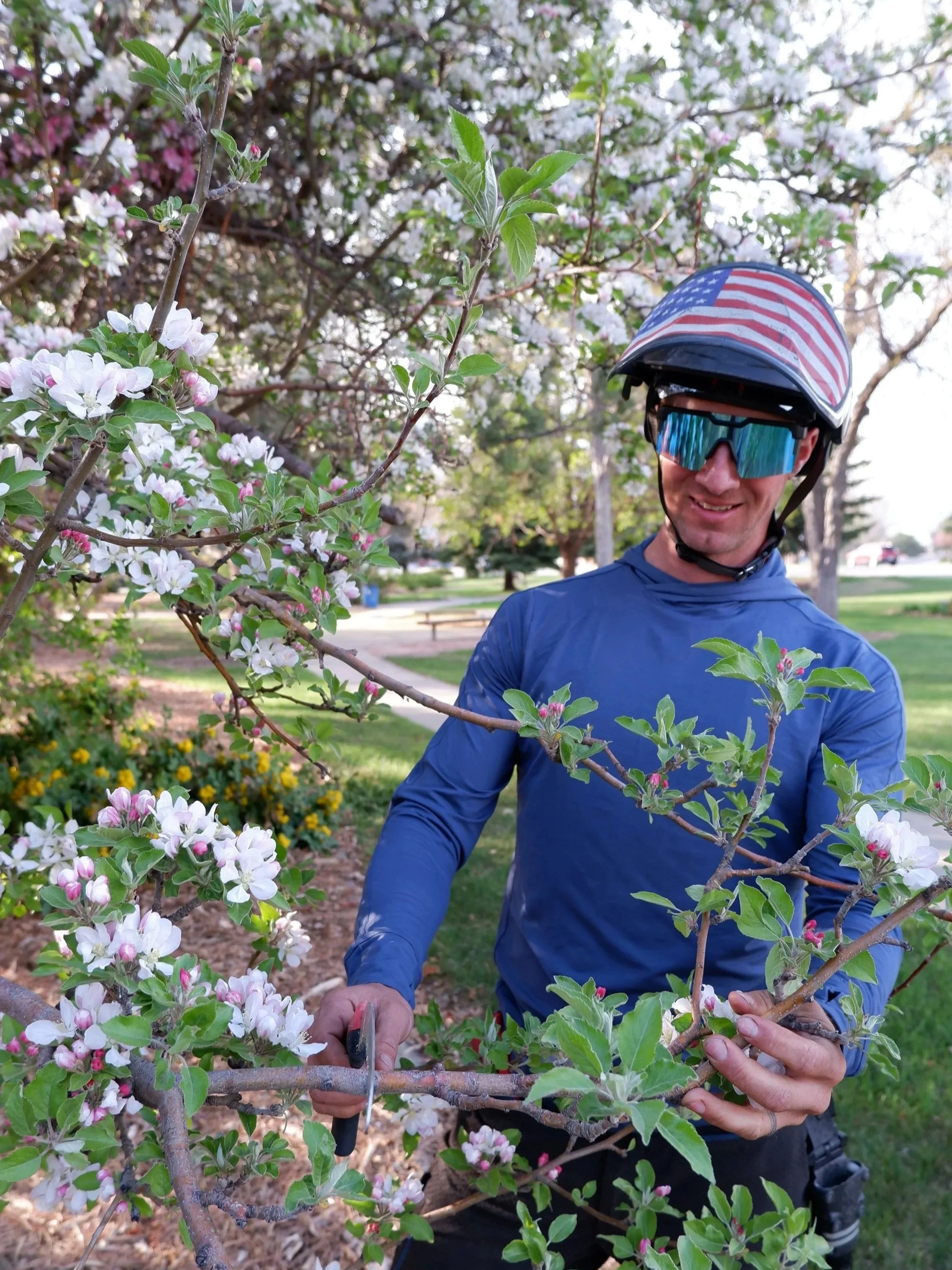 Tree Pruning. Using a handsaw to prune tree. Tree trimming. How to trim trees.