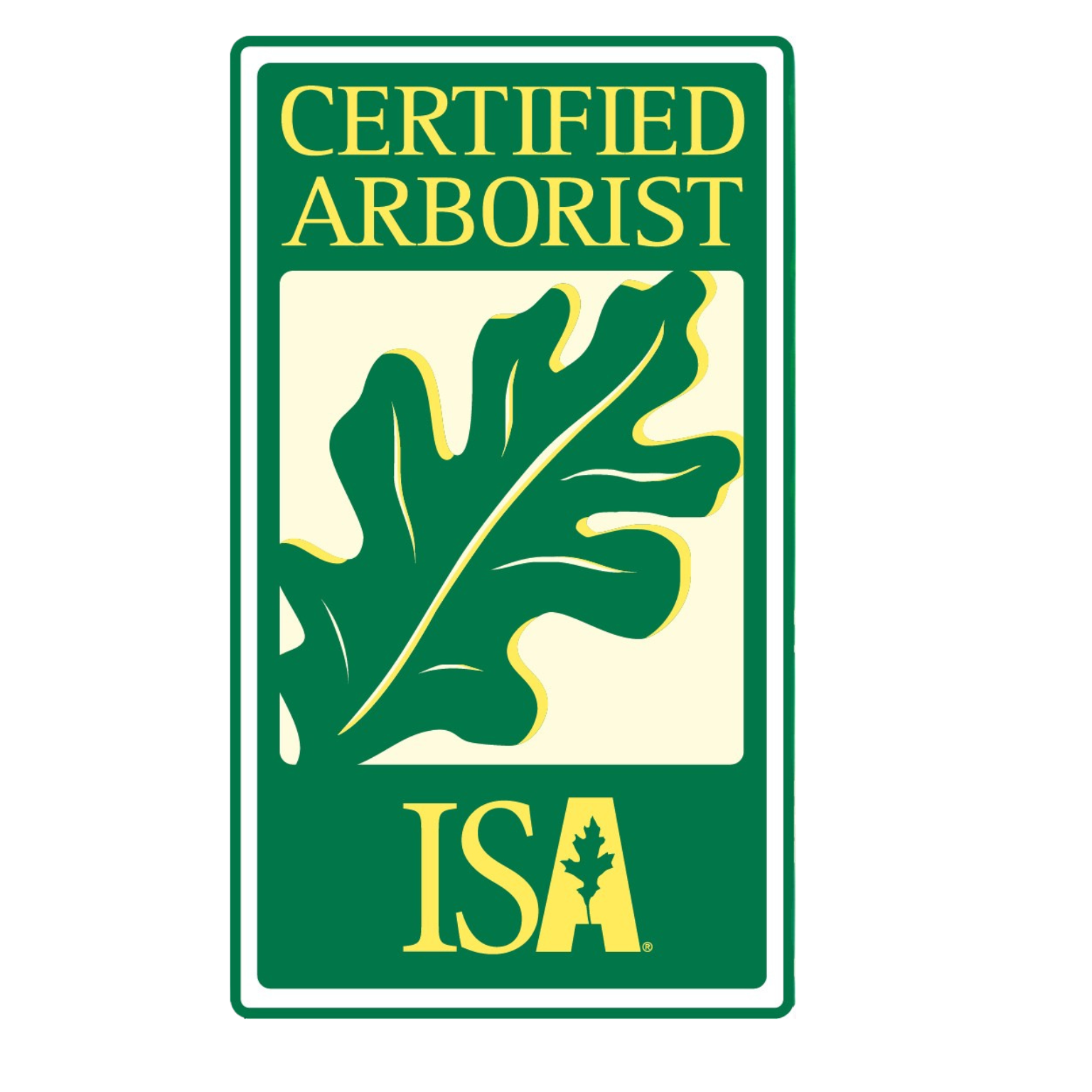 Certified and accredited tree service