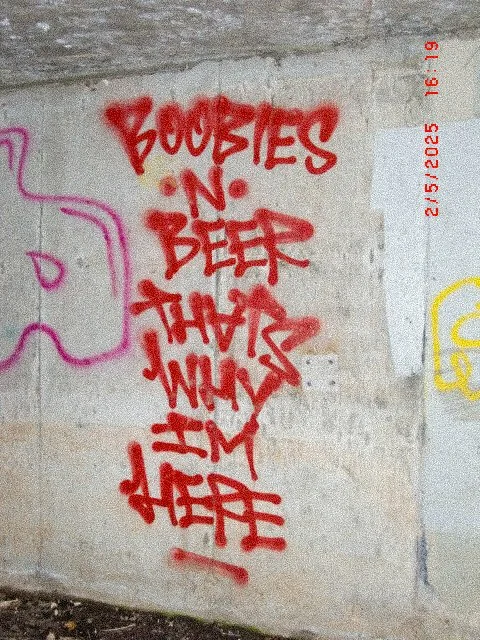 Anti American Graffiti Photo Series_Page_06.jpg