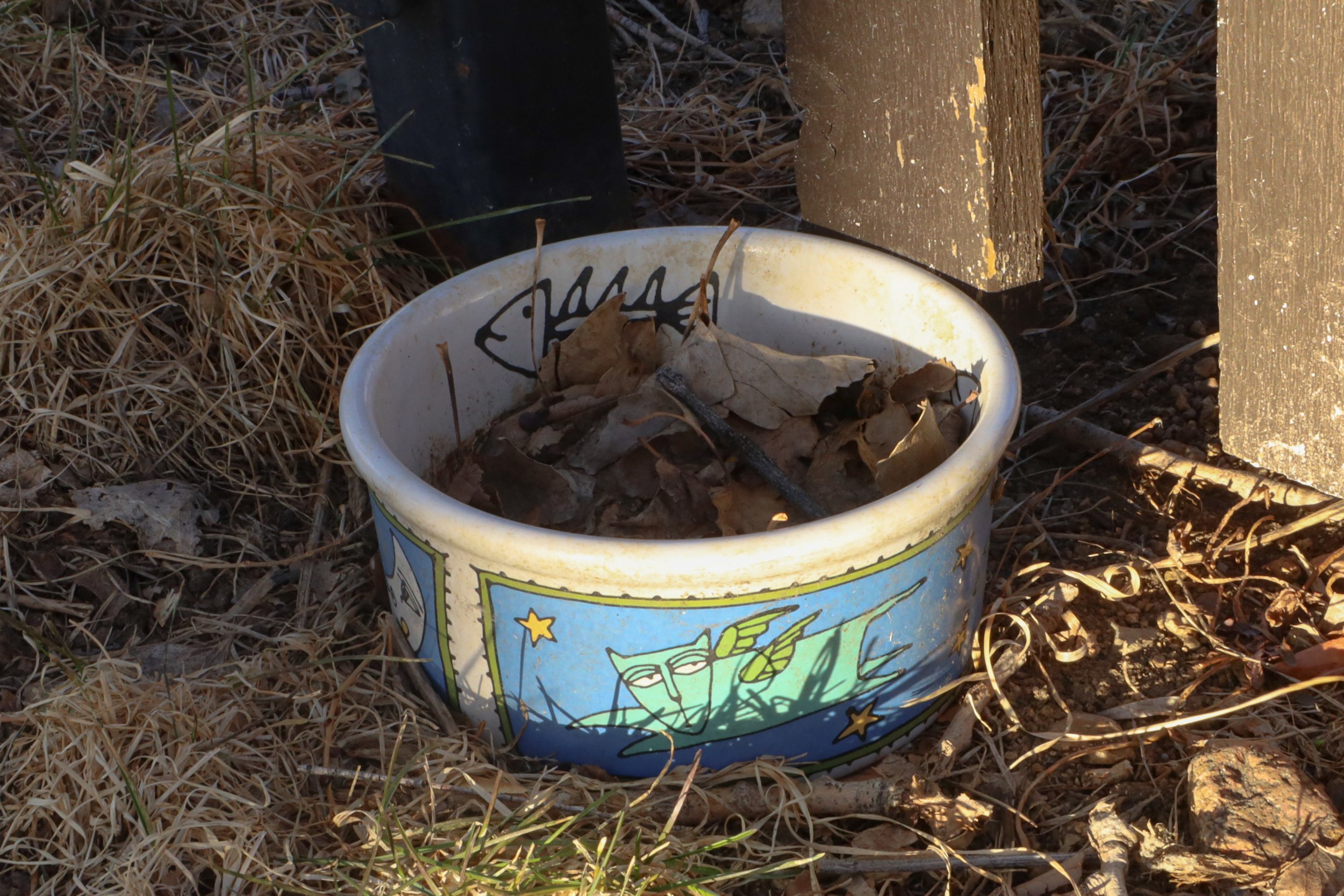 evidence (again).jpg