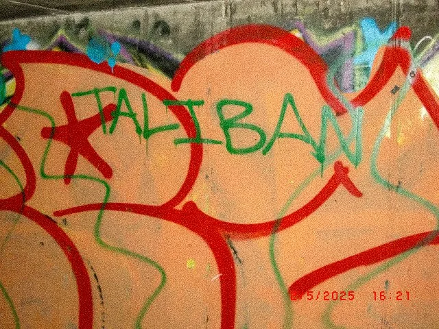 Anti American Graffiti Photo Series_Page_09.jpg