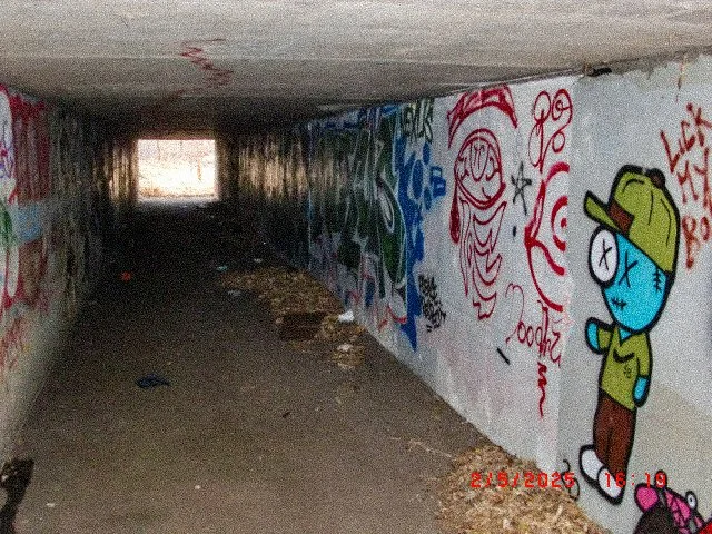 Anti American Graffiti Photo Series_Page_05.jpg