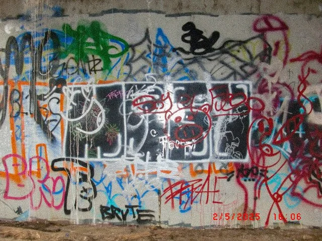 Anti American Graffiti Photo Series_Page_01.jpg