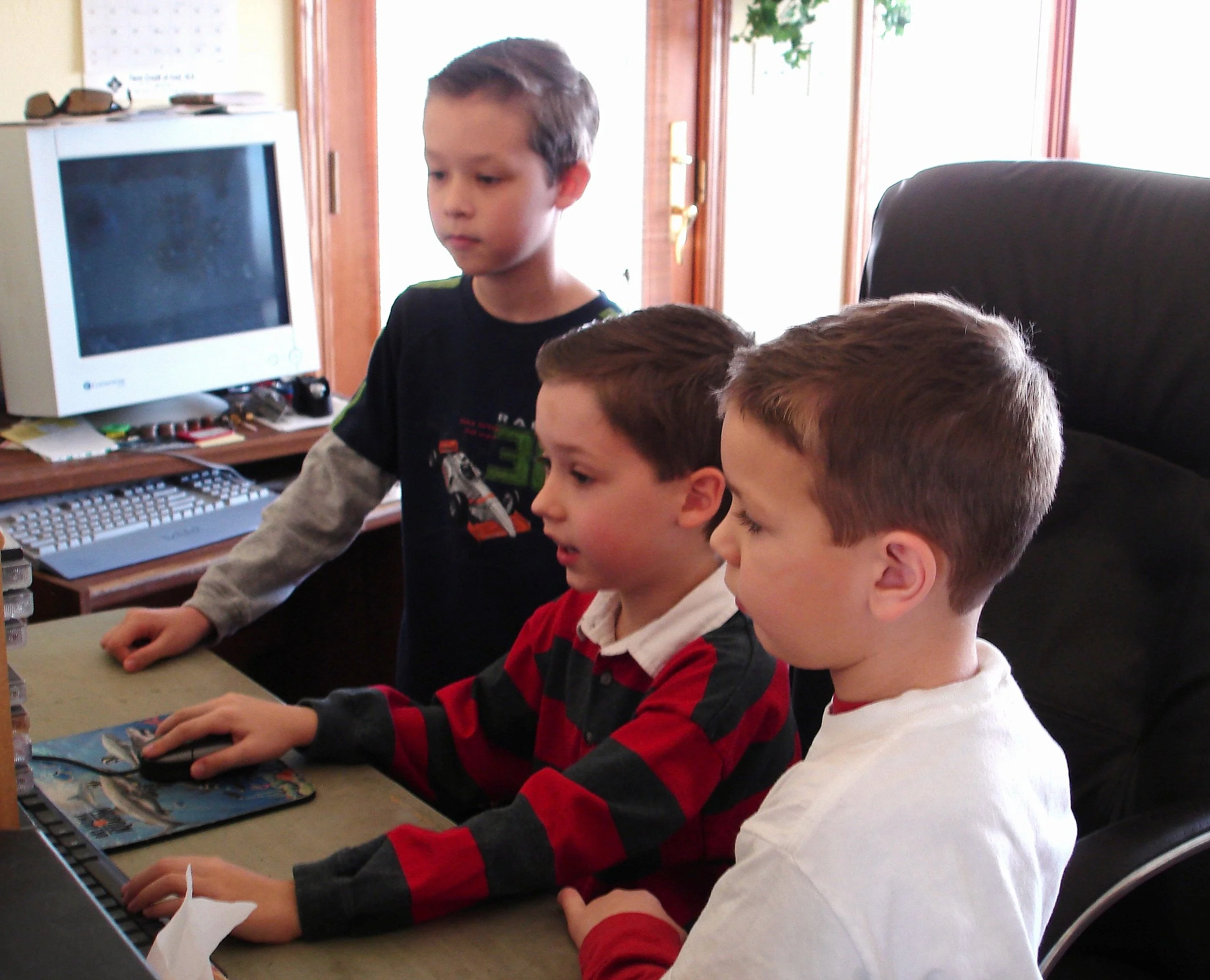 Kevin and Brett Severin playing Zoo Tycoon together.