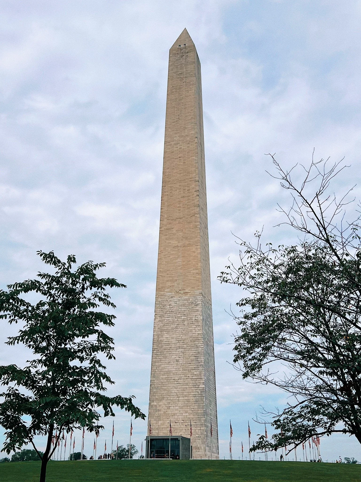 IMG_6375.JPG