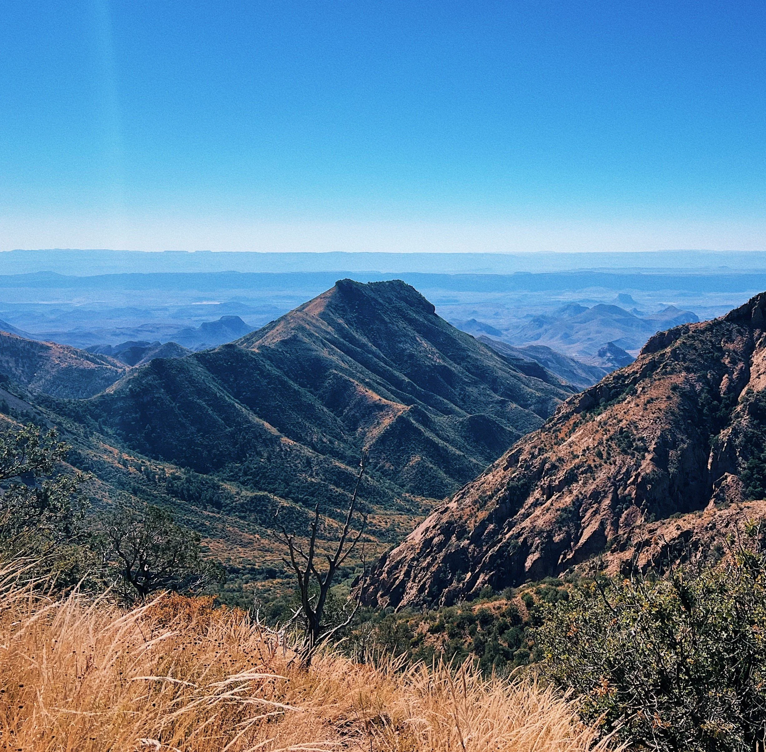 A mountain range spans the horizon with wild grasses and boulders in the foreground.