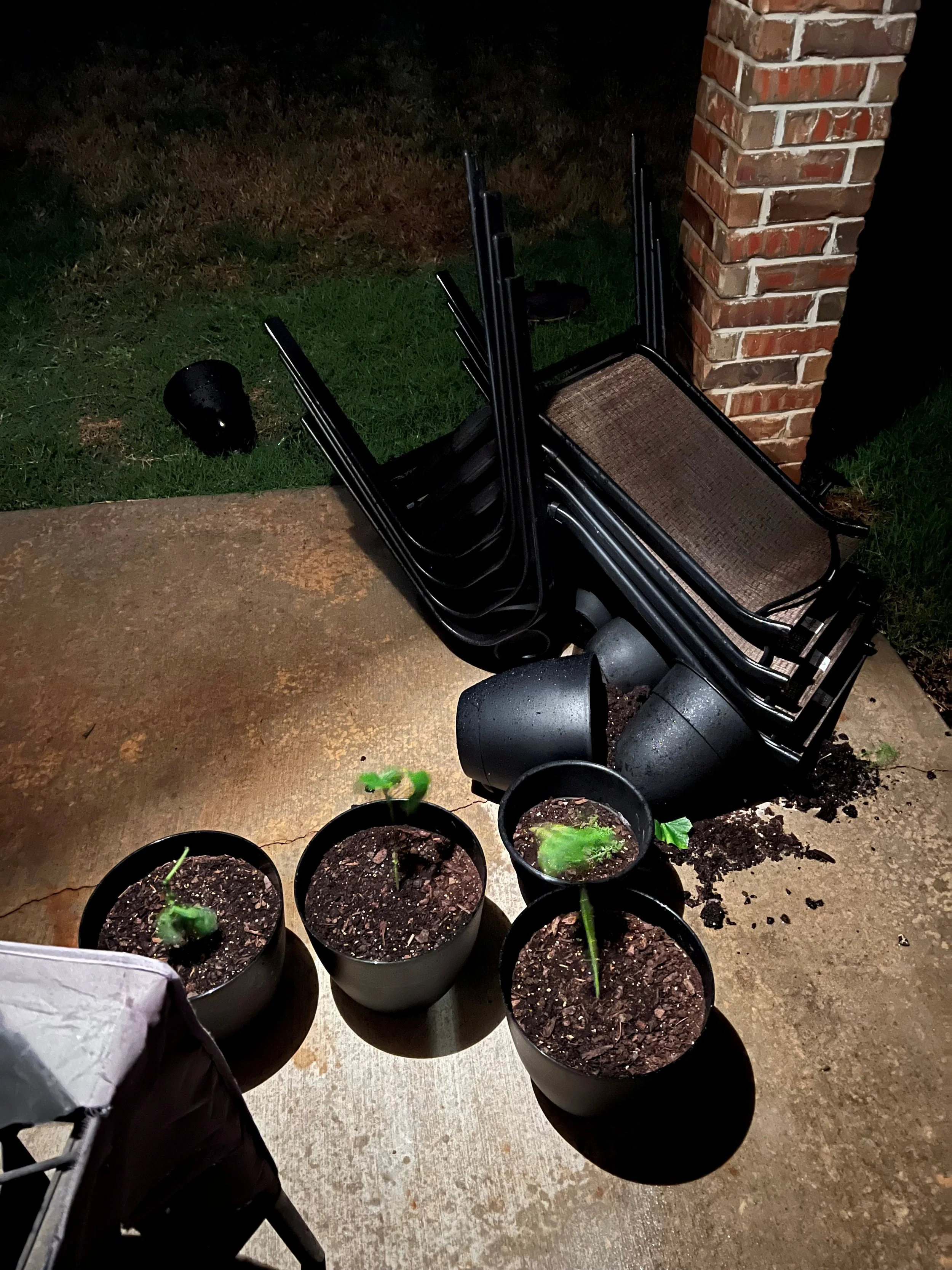 A vegetable garden is destroyed by a windstorm in Norman, Oklahoma.