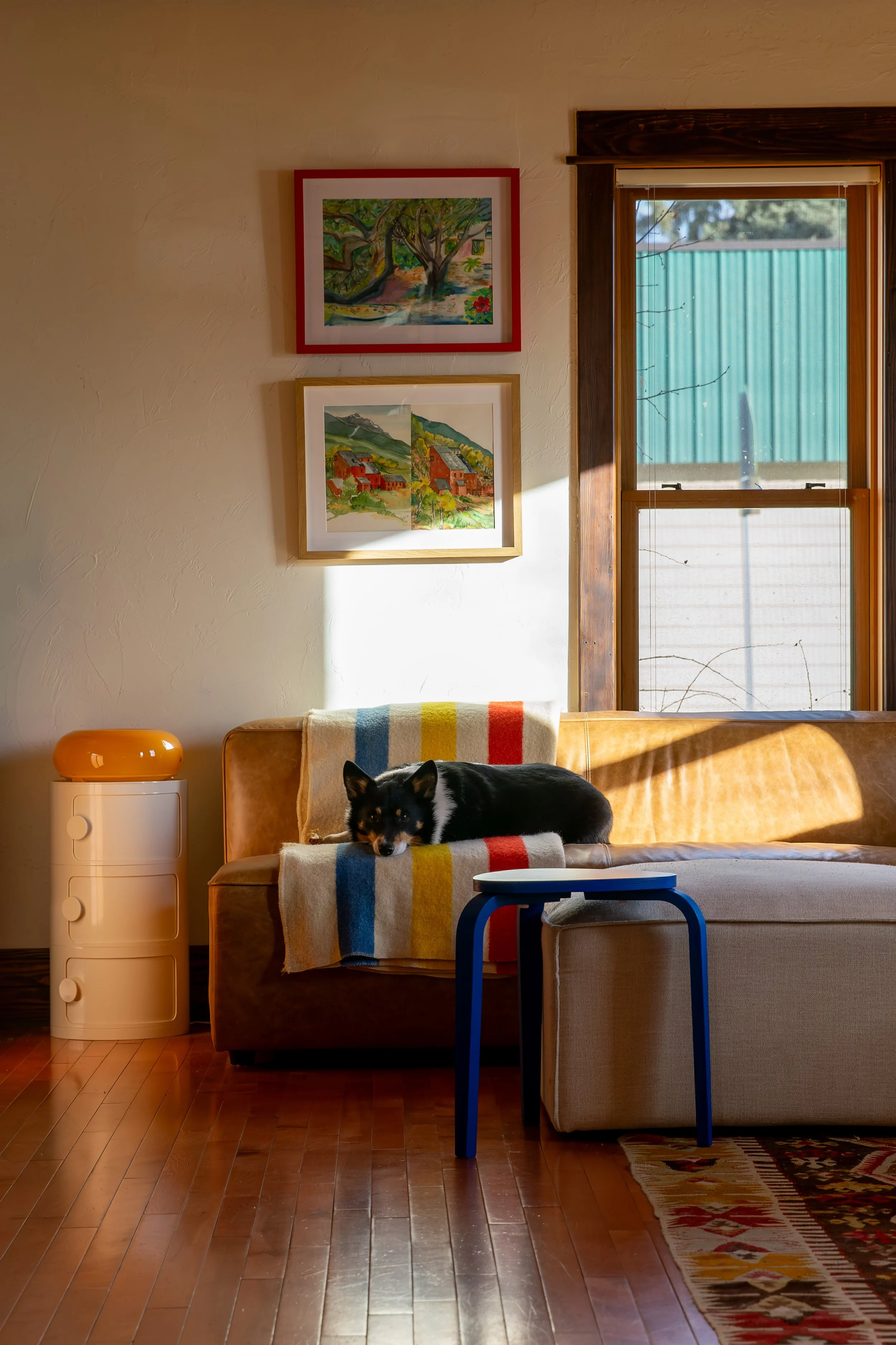 A cozy living room featuring a brown and beige sectional sofa with a striped throw blanket, and a black and white dog lying on the sofa. Bozeman interior design, interior renovation, and interior styling. 