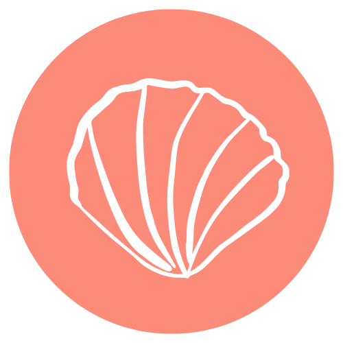 Illustration of a seashell on a pink circular background.