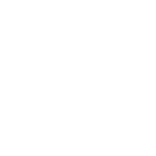 White flower with five petals and a central black dot on a black background.