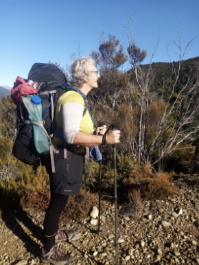 Older woman with gray hair wearing glasses, a yellow shirt, and a backpack, hiking with trekking poles in a mountainous, rocky landscape with sparse trees under a clear blue sky.