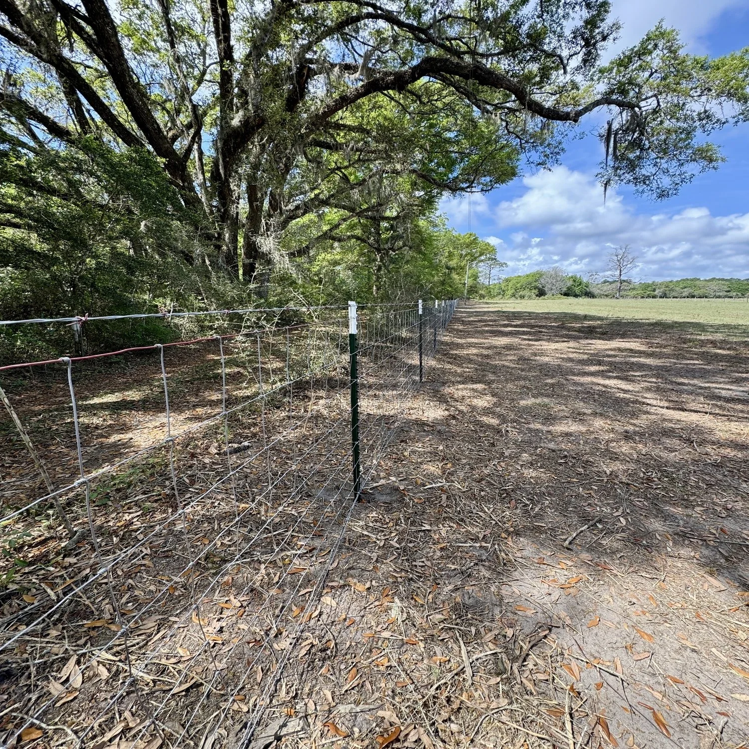 Field Wire.jpg