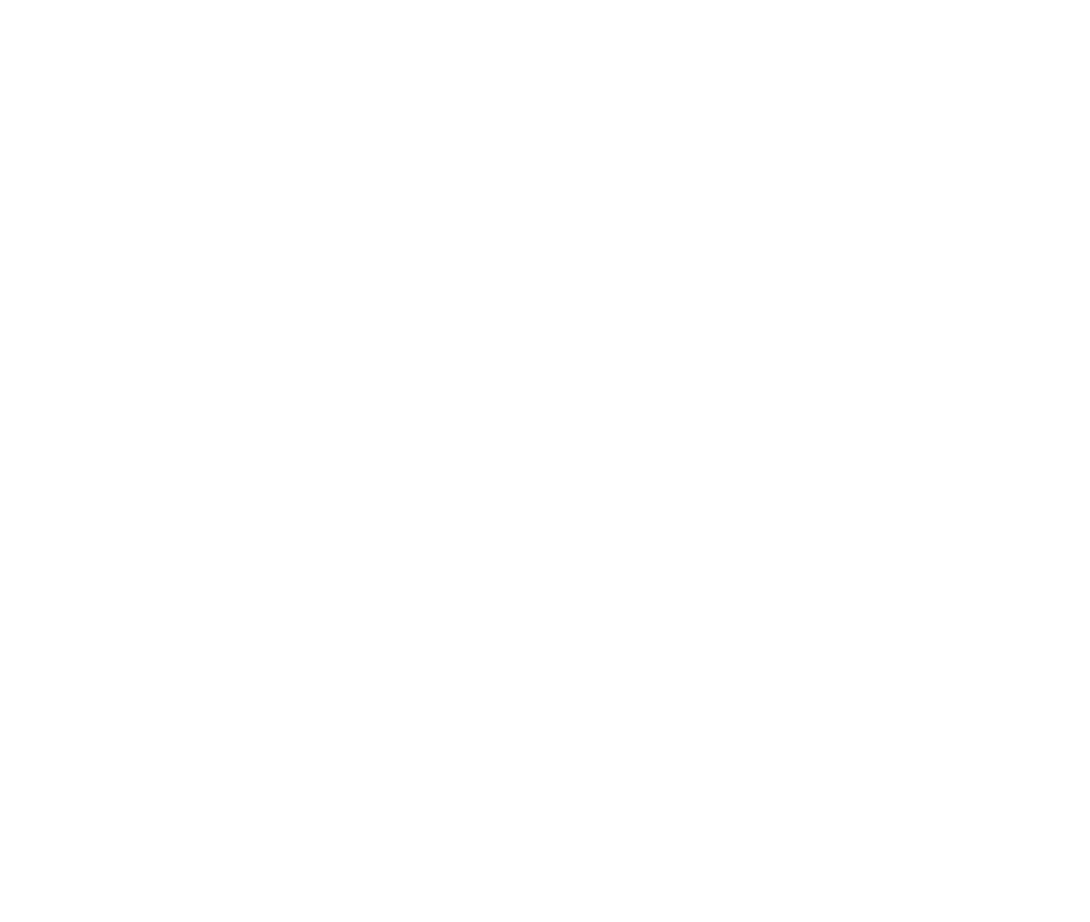 FALCON ARTISTRY TATTOO