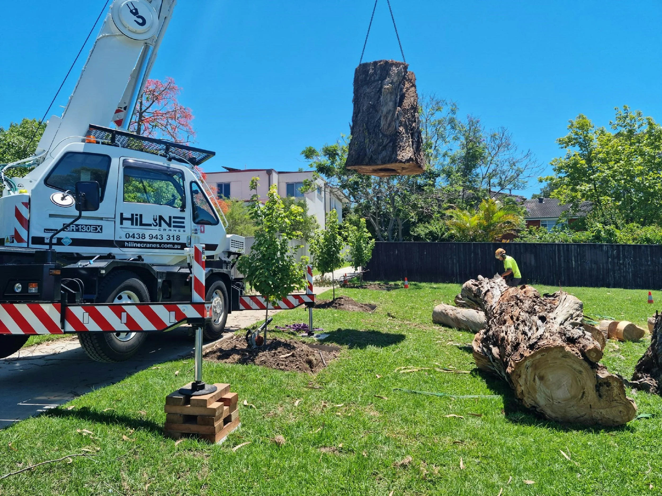 A tree removal process using a crane in a residential yard, with large fallen tree logs and workers on site.