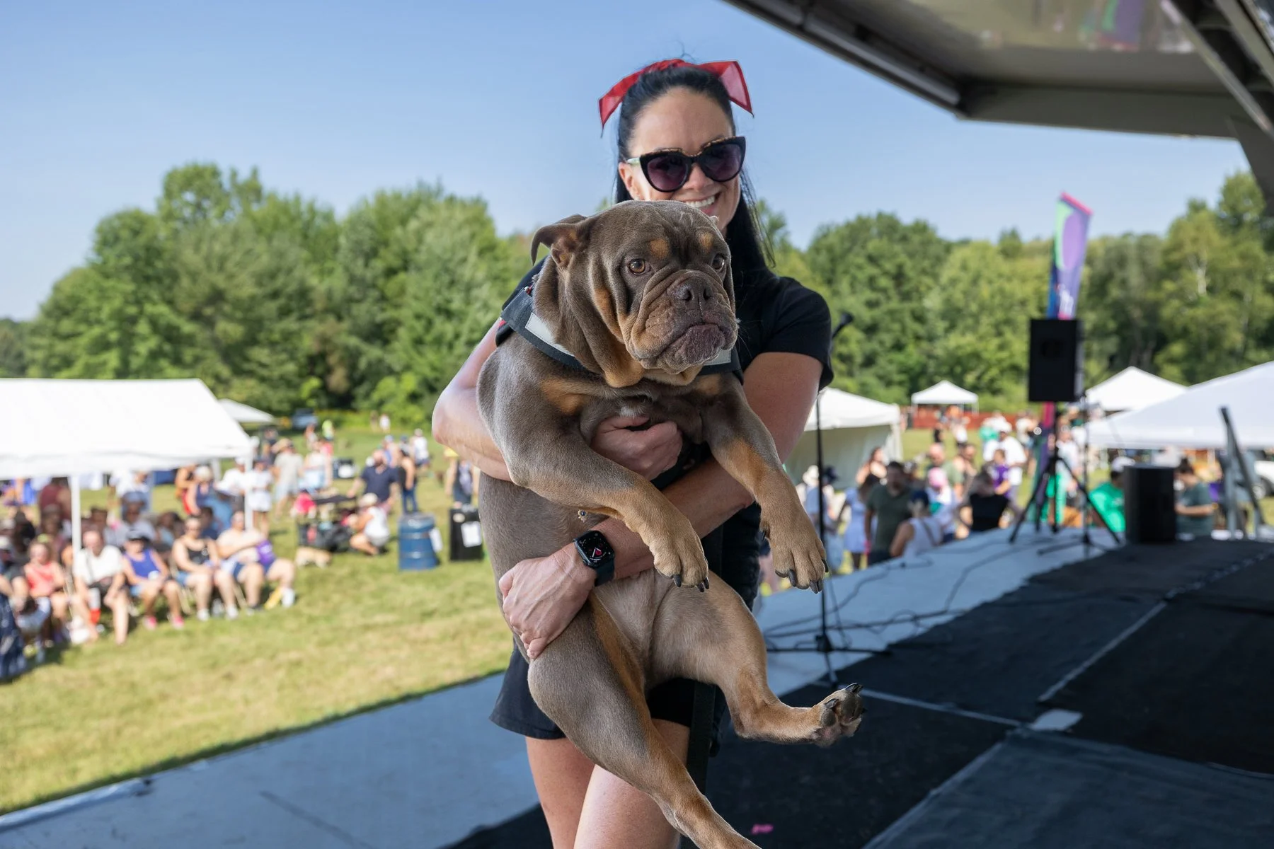 Built for the Bark: The Pawlooza Growth Campaign