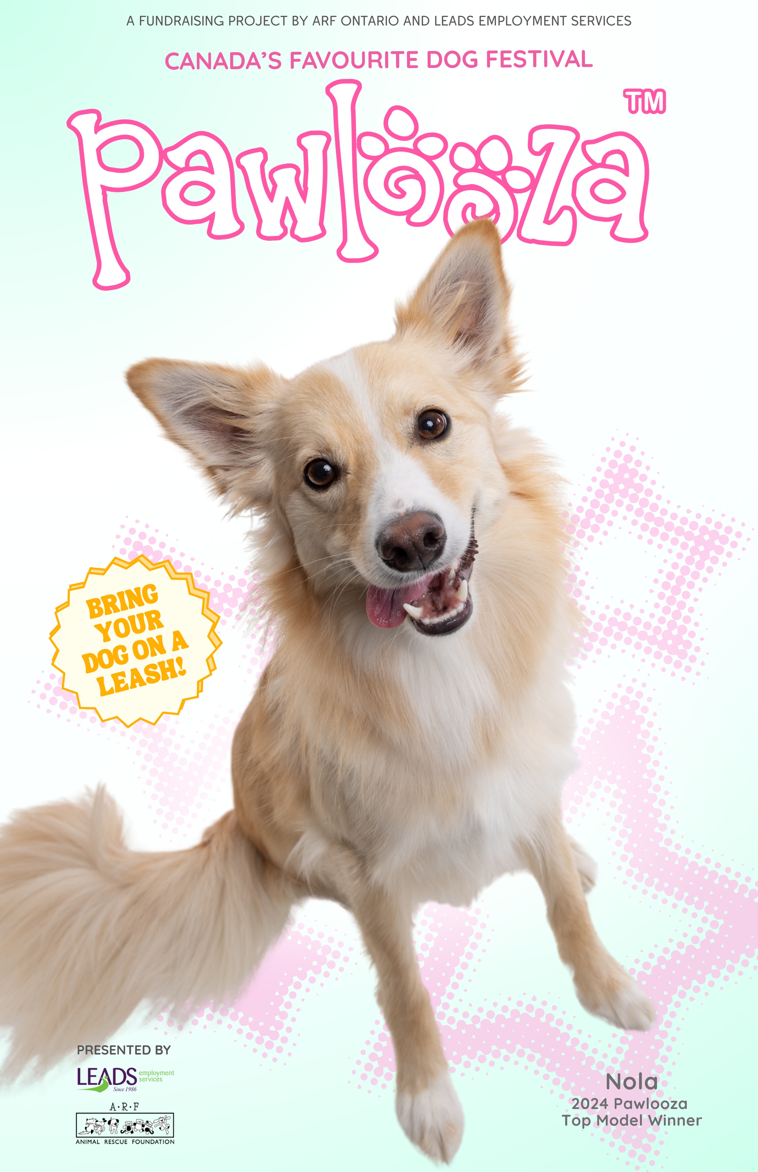 A promotional poster for Pawlooza, a dog festival in Canada, featuring an image of a happy, smiling dog with light-colored fur and pointy ears, against a white and pink patterned background. The poster includes text about the event, a note to bring a