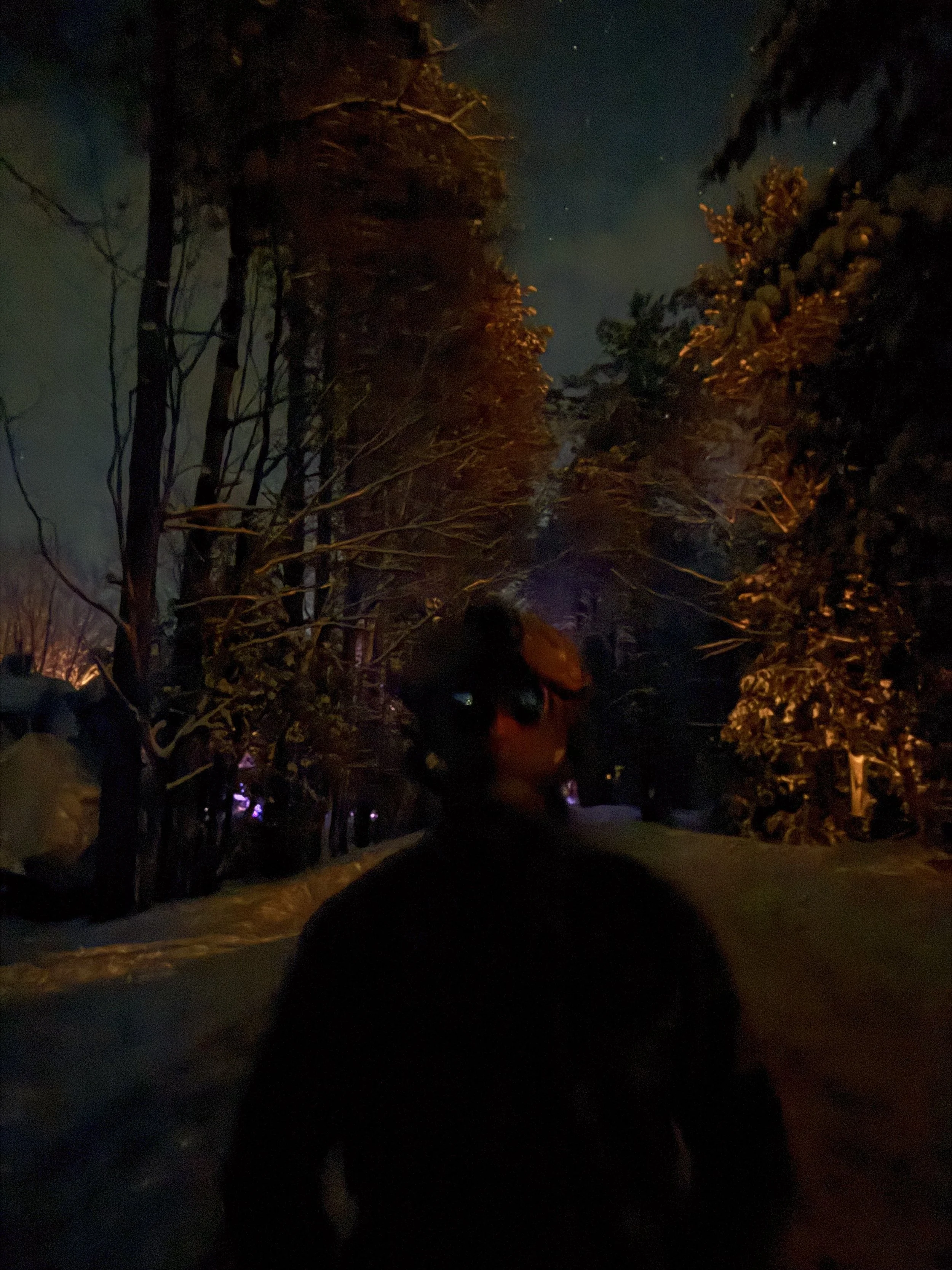 Person walking on a snowy path at night with Tactical, NODs, NVG, NVGs, BNVD, surrounded by leafless trees and illuminated by faint streetlights.