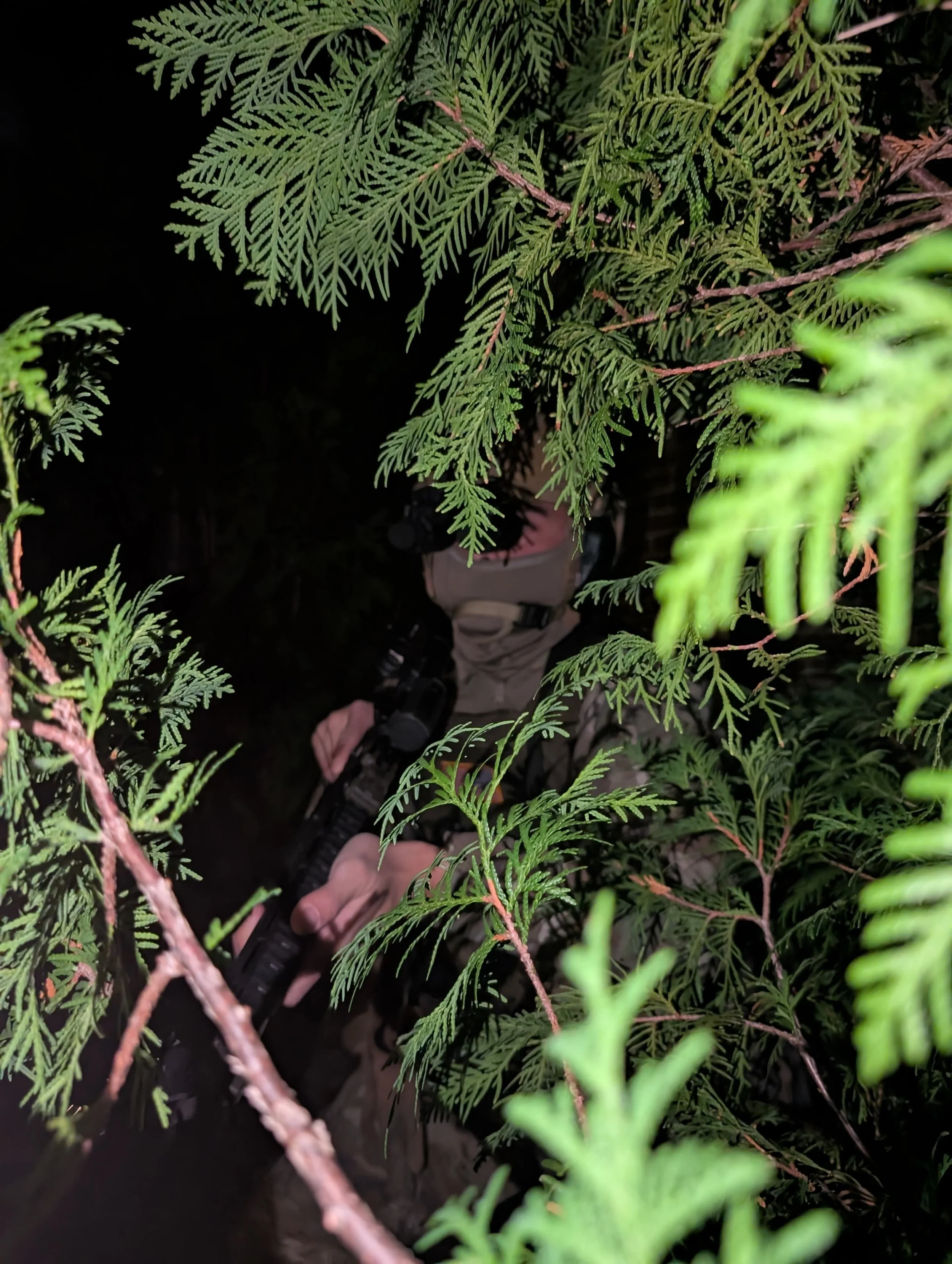 A person in camouflage clothing holding a firearm, viewed through green tree branches at night hunting.