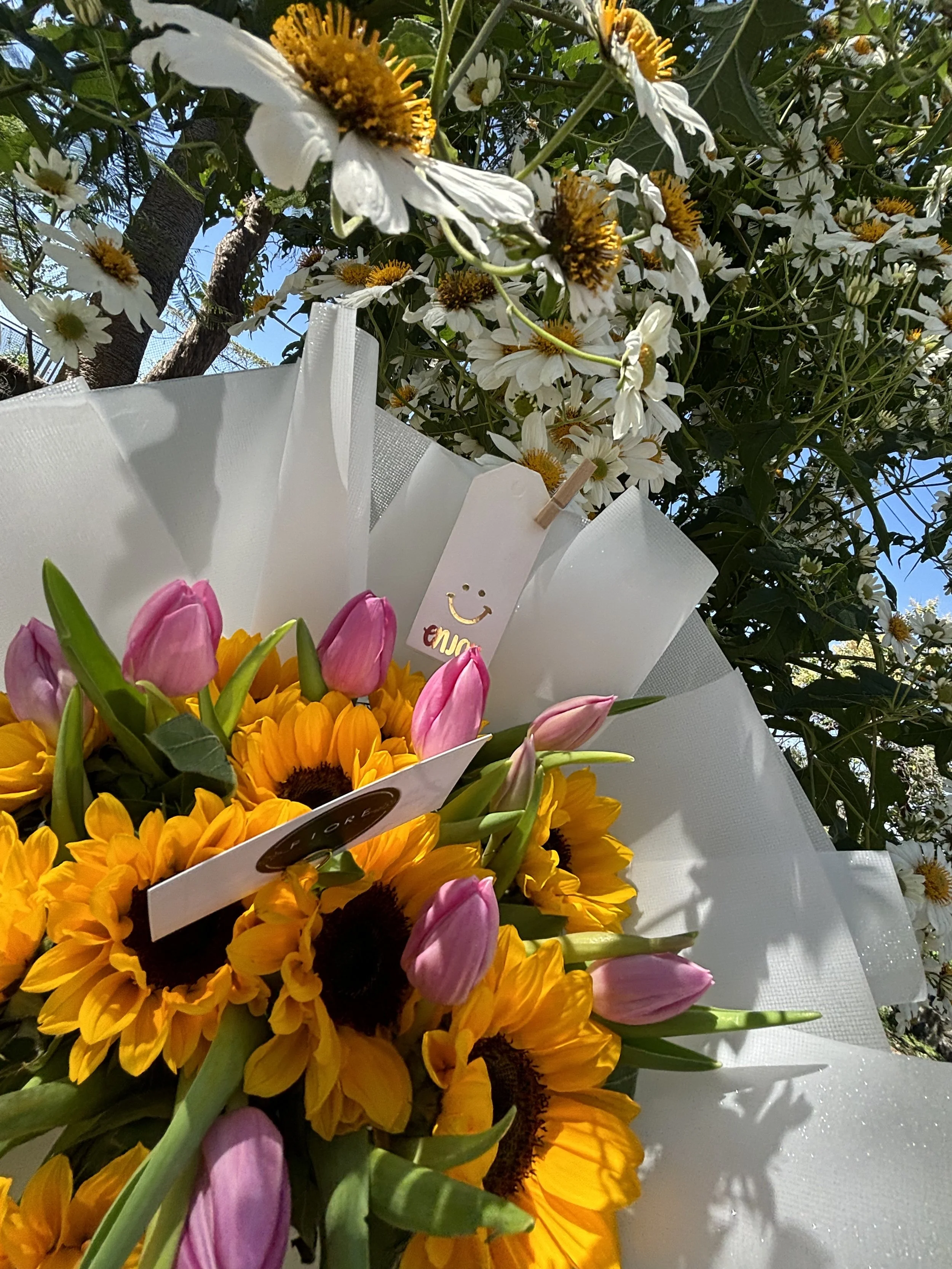 ENCANTO DE PRIMAVERA