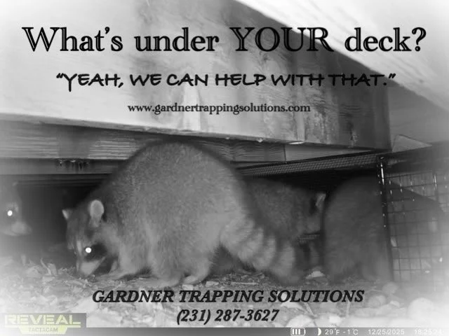 Avoid nuisance wildlife situations by closing off access to areas with property installed exclusion barriers. A thorough inspection of a property can identify vulnerable areas that could allow wildlife access to create a nuisance situation.