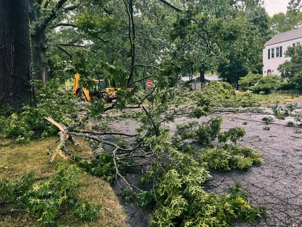Fallen tree branches and leaves scattered across a residential street after storm damage, with a backhoe in the background.
