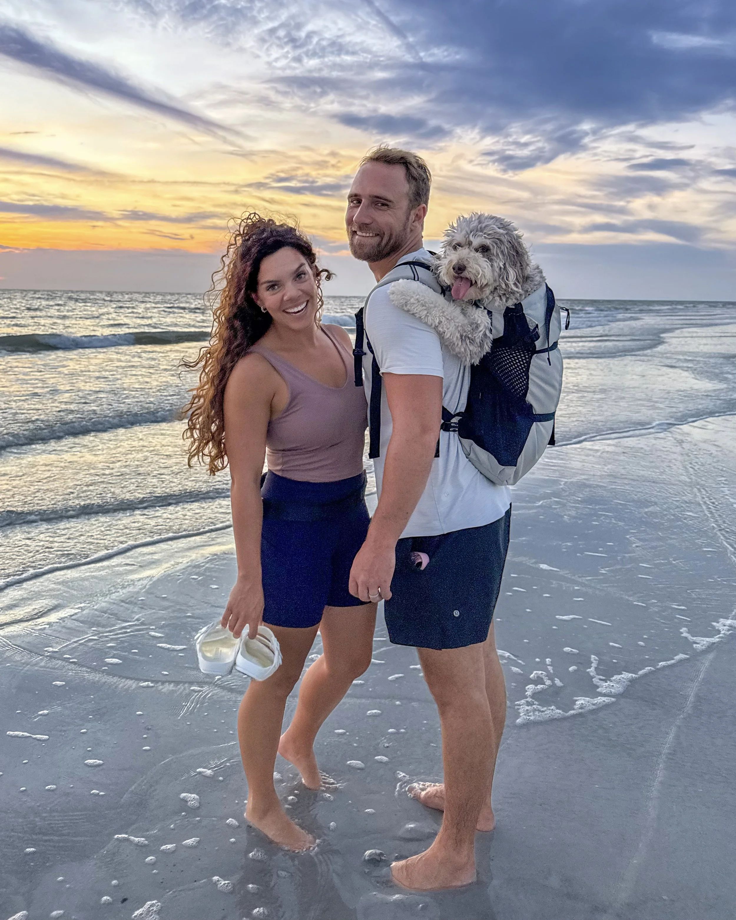 A smiling couple standing in the shallow ocean water at sunset, with a woman holding her shoes and a man carrying a small dog in his backpack.