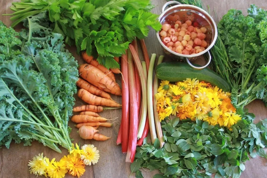 Fresh vegetables including kale, carrots, celery, rhubarb, zucchini, and a bowl of frozen berries, along with yellow flowers and green leaves.