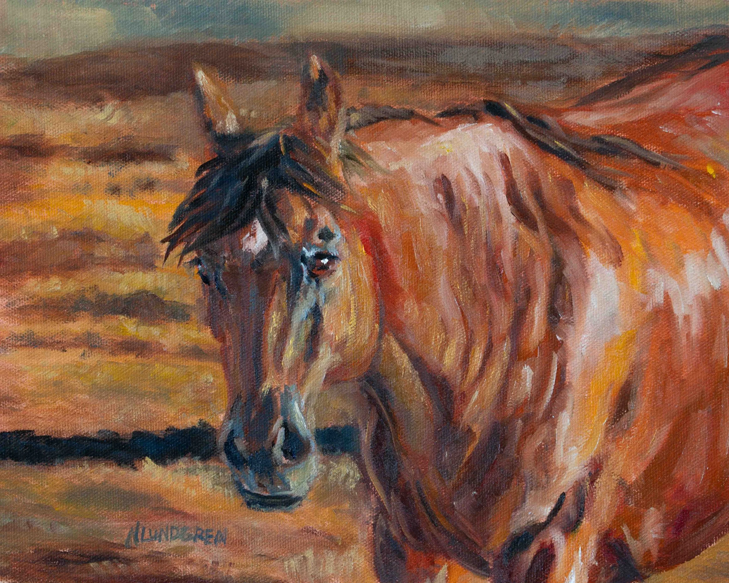 "Study of a Horse" Oil 8"x10" print