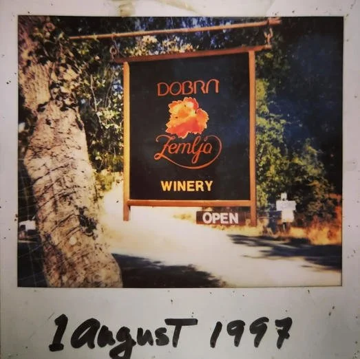 A signboard advertising Dobra Zemlja Winery, hanging between trees with leaves and sunlight, dated August 1st, 1997. Polaroid.