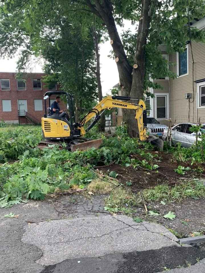 A man operating a yellow Yanmar mini excavator cutting down a tree in a residential area. The tree has many cut branches on the ground, and a building with multiple windows is visible in the background.