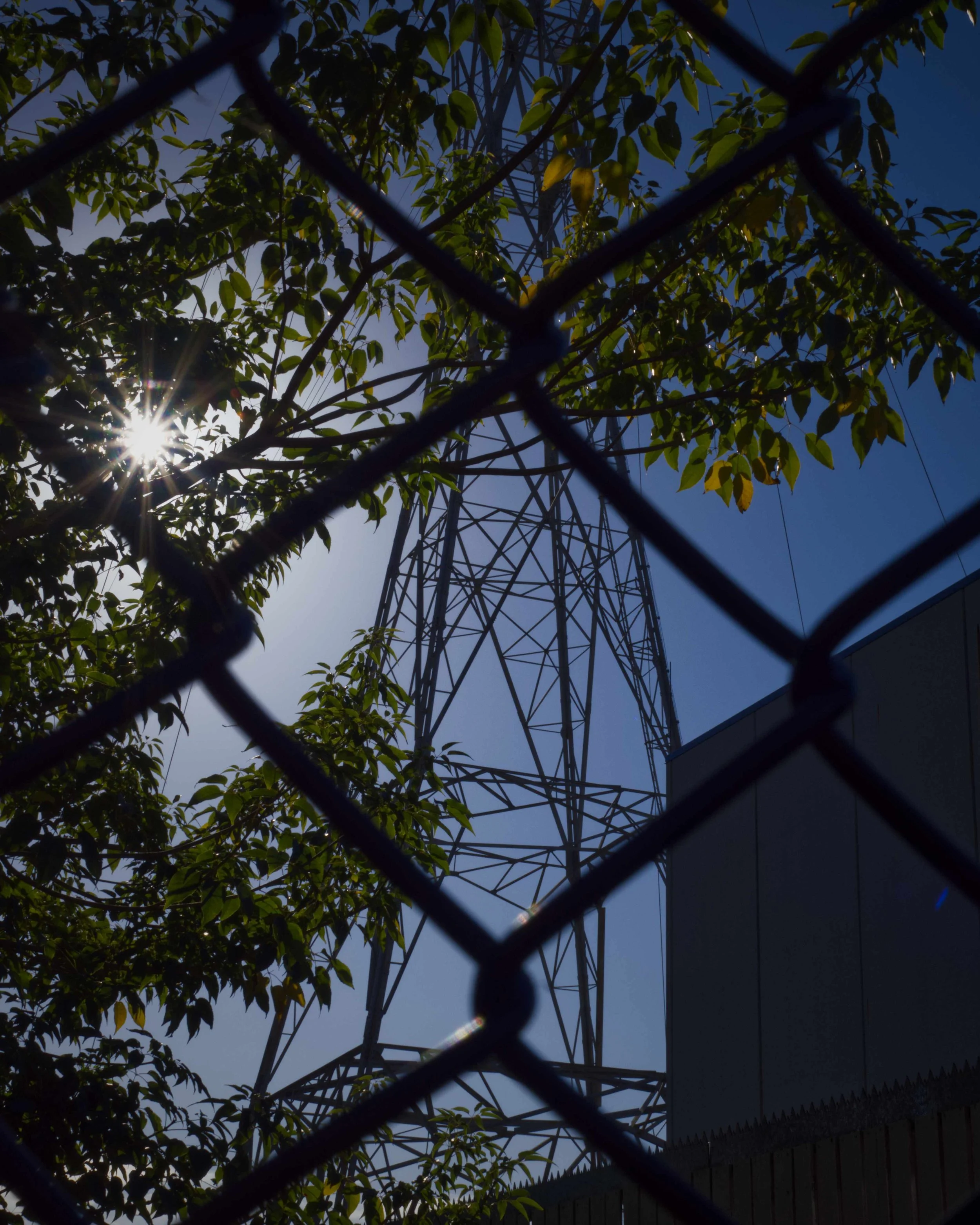 20250810_Teneriffe_Power Hidden_4-5_web.jpg