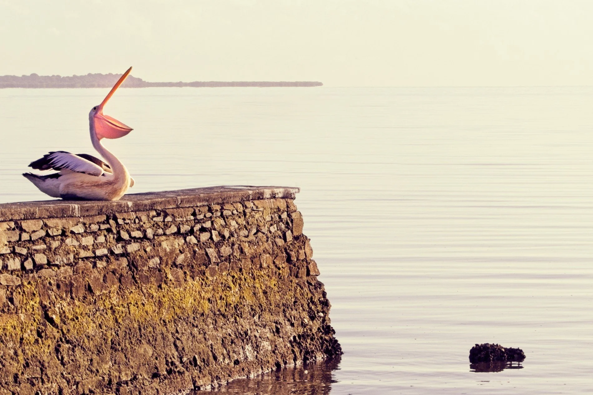 20260101_Summer Series 012.jpg