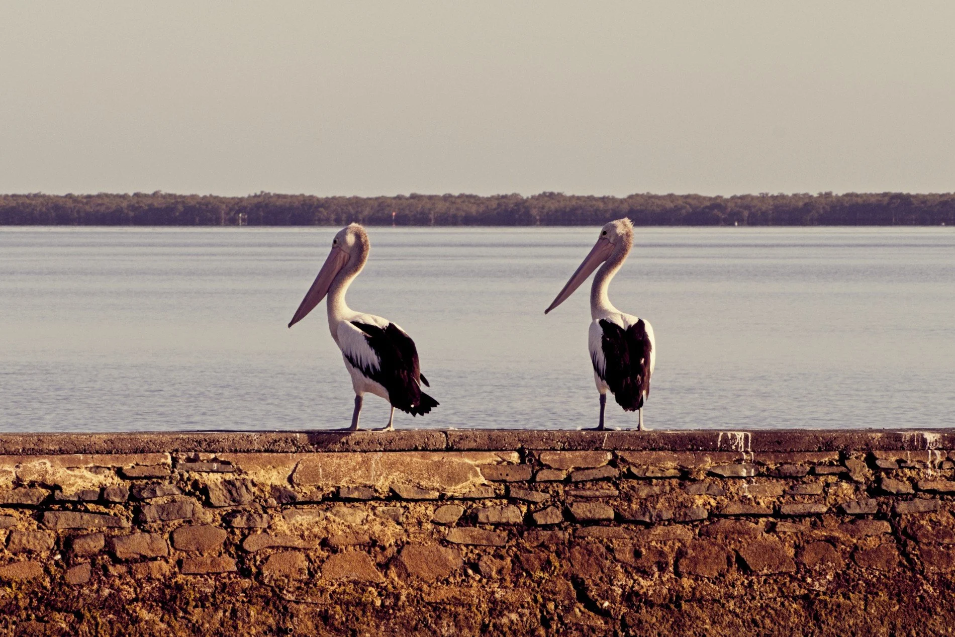 20260101_Summer Series 015.jpg