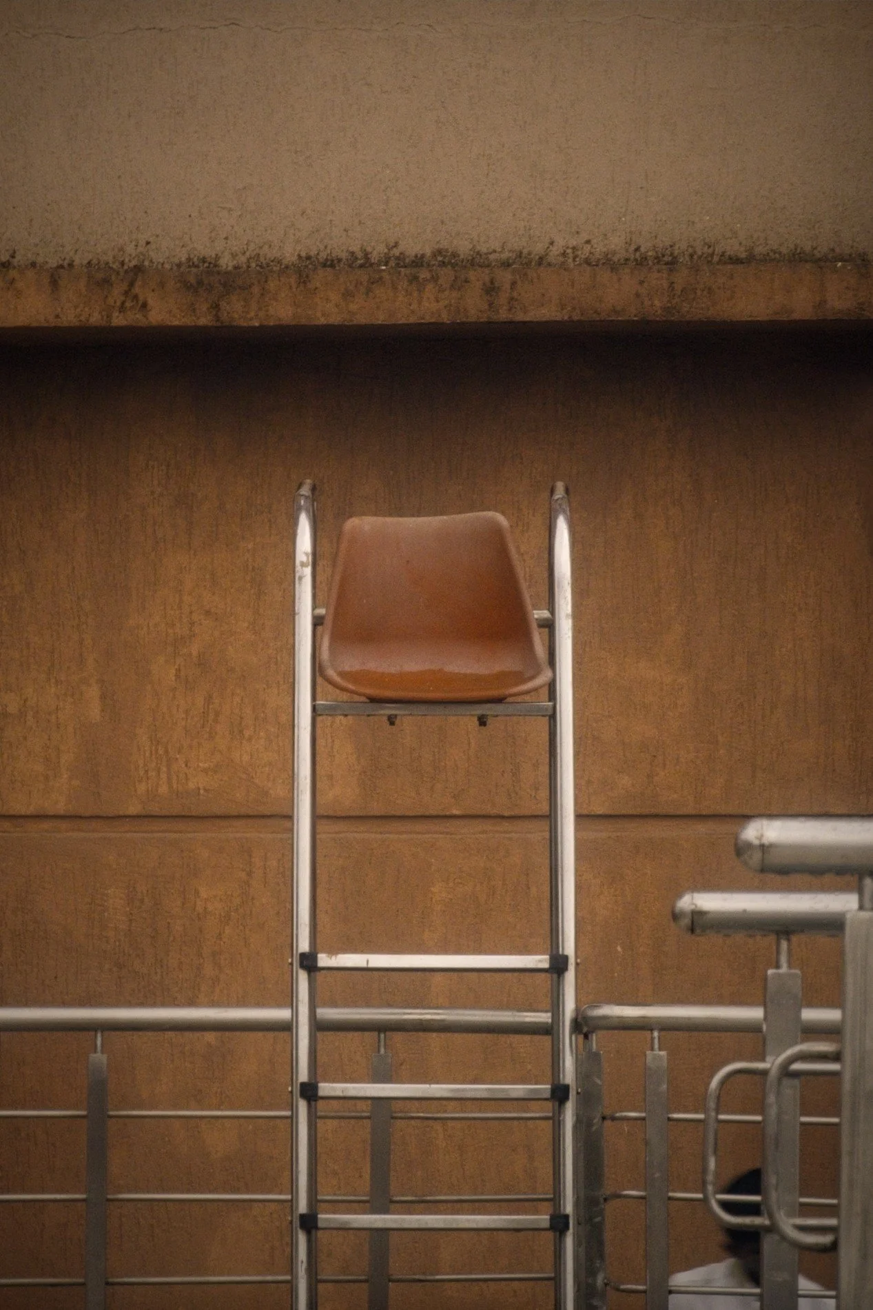 20250519_Chennai_poolside serenity 04.jpg