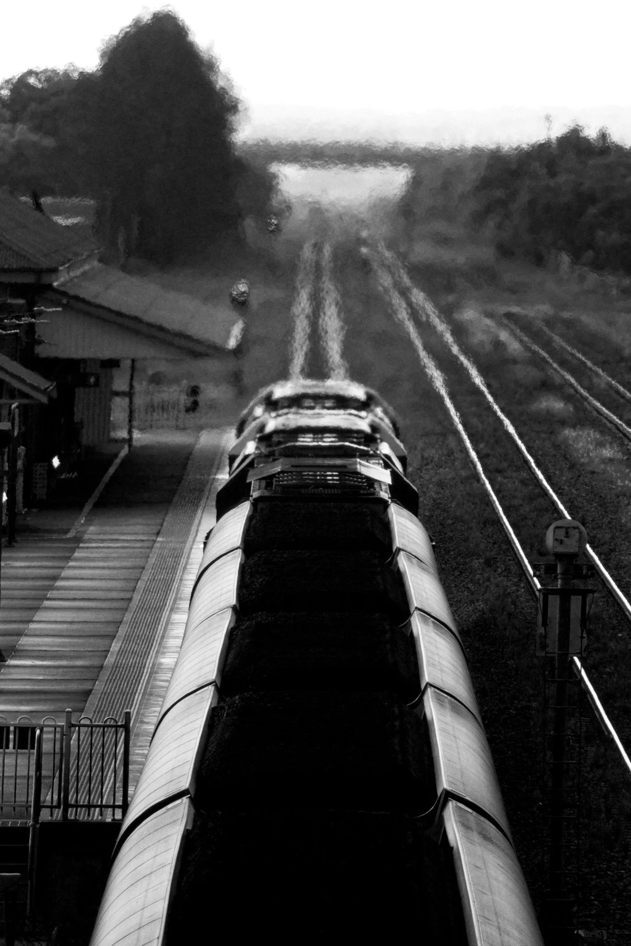 20260117_Singleton_Coal Trains BW 005.jpg