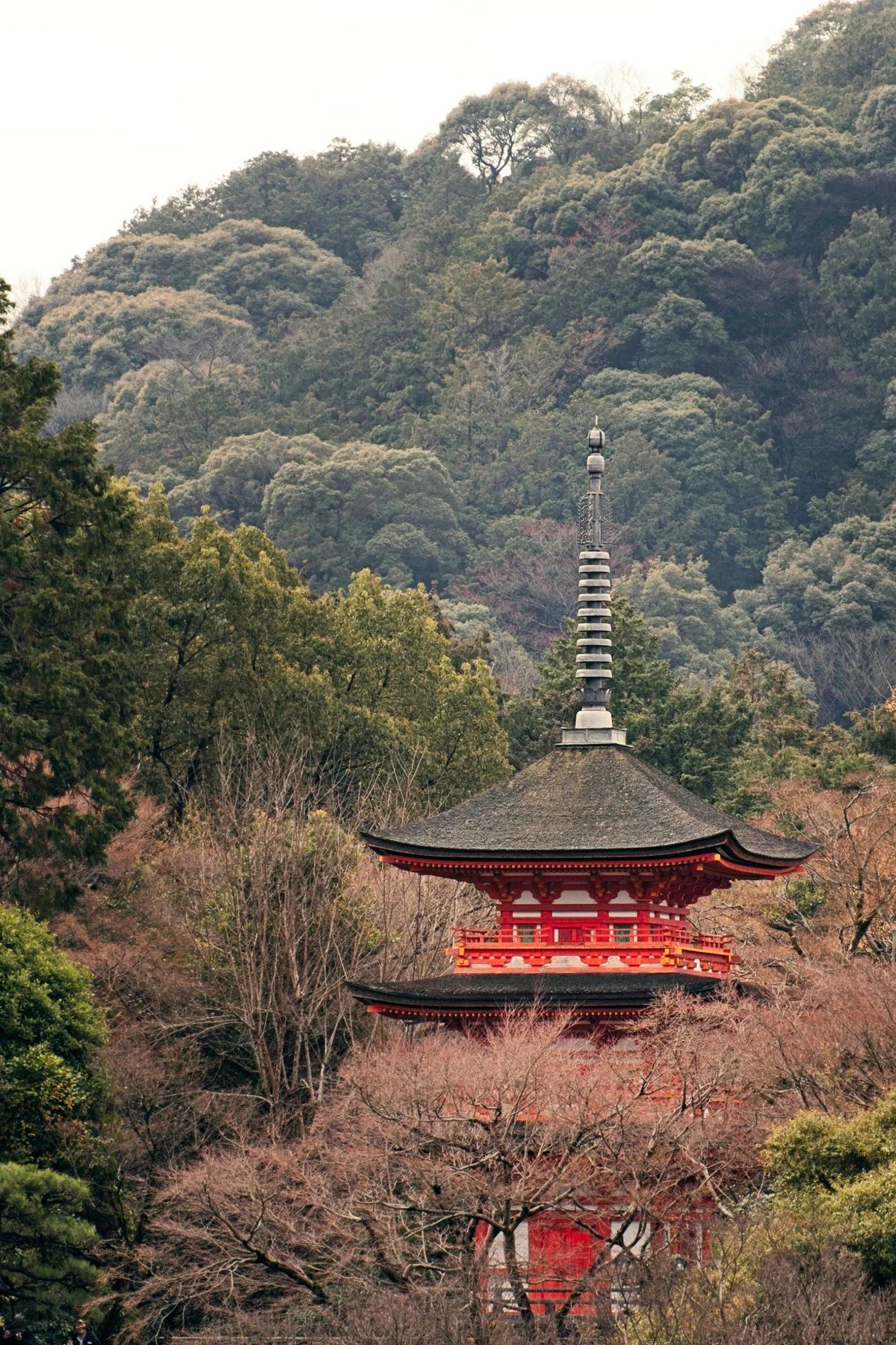 20260328_Japan 0165.jpg