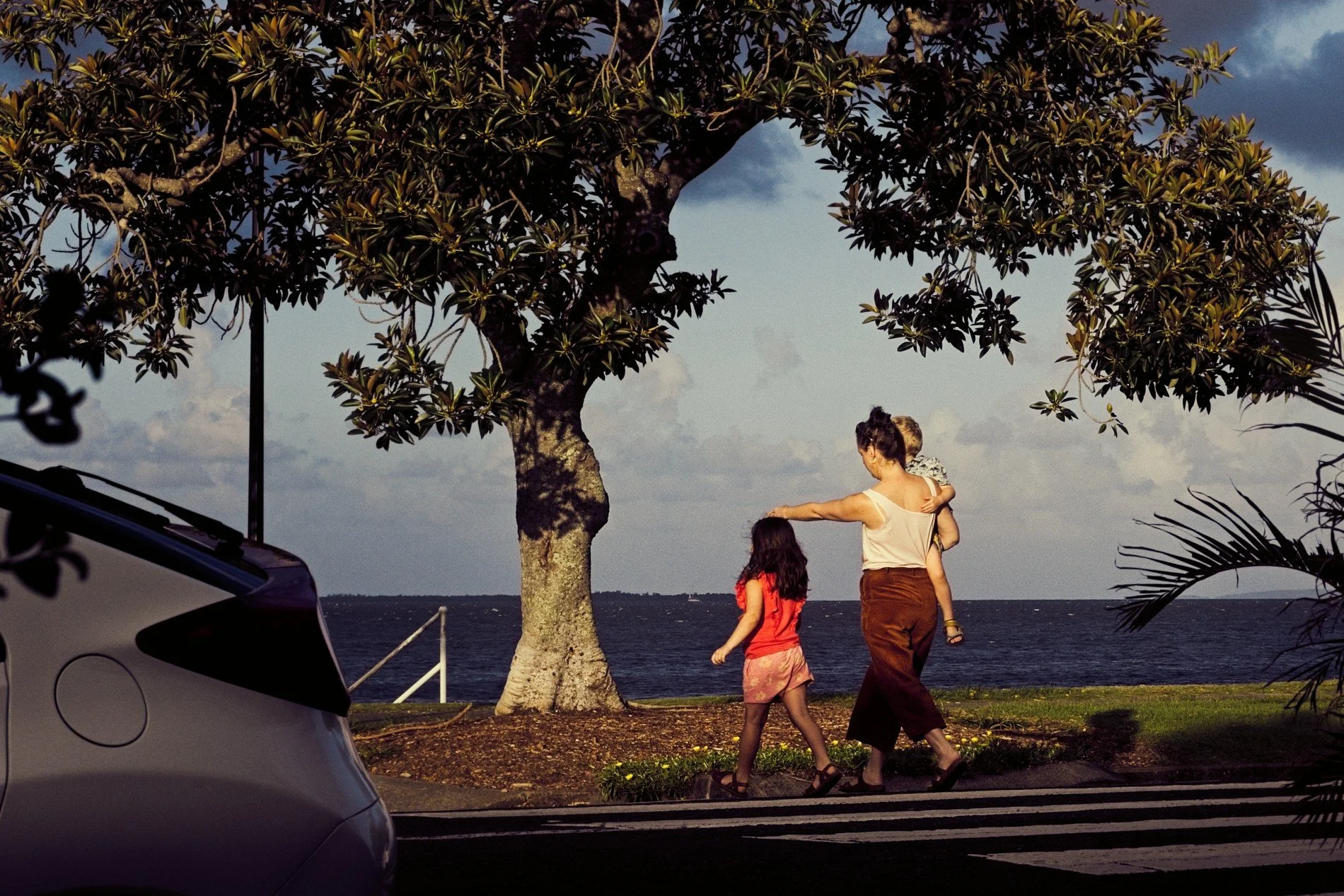 20260228_Wynnum_Evening Walks 1.jpg