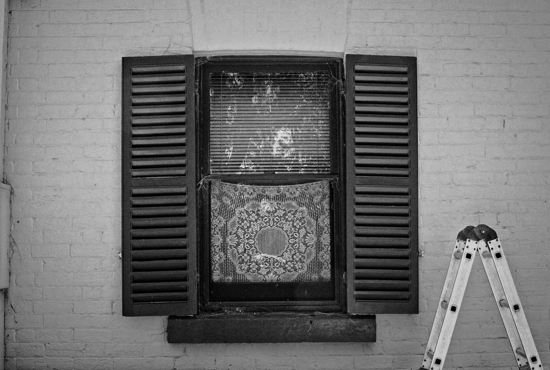 20260103_Singleton_Through the Looking Glass.jpg