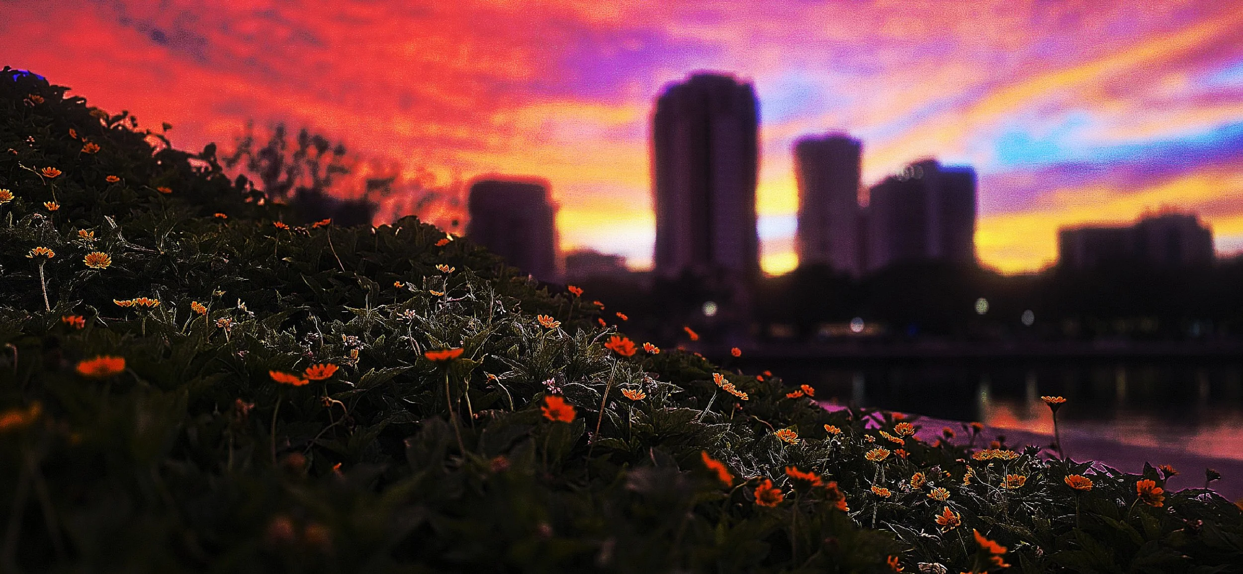 Picsart_25-07-22_11-11-30-816 (1).jpg