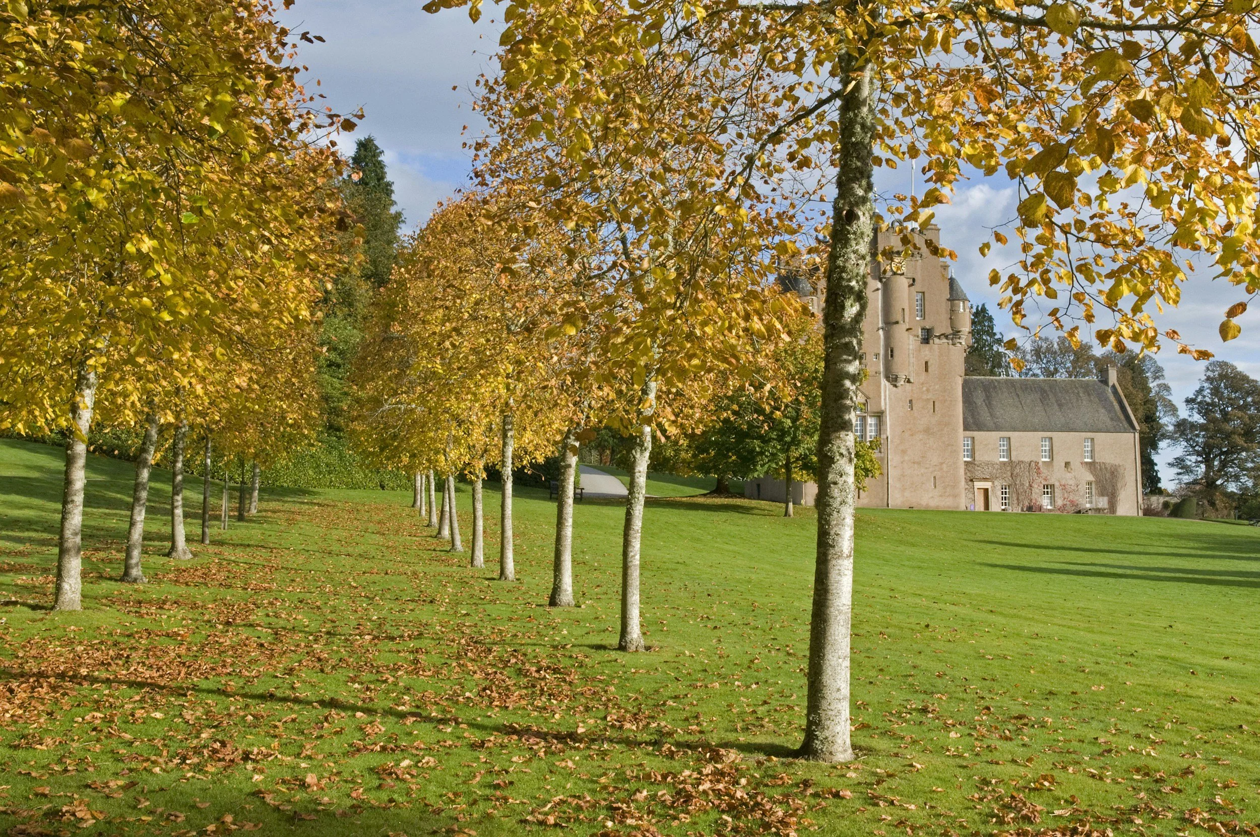 The Next Step: Healing Self-Trust (One Small Promise)