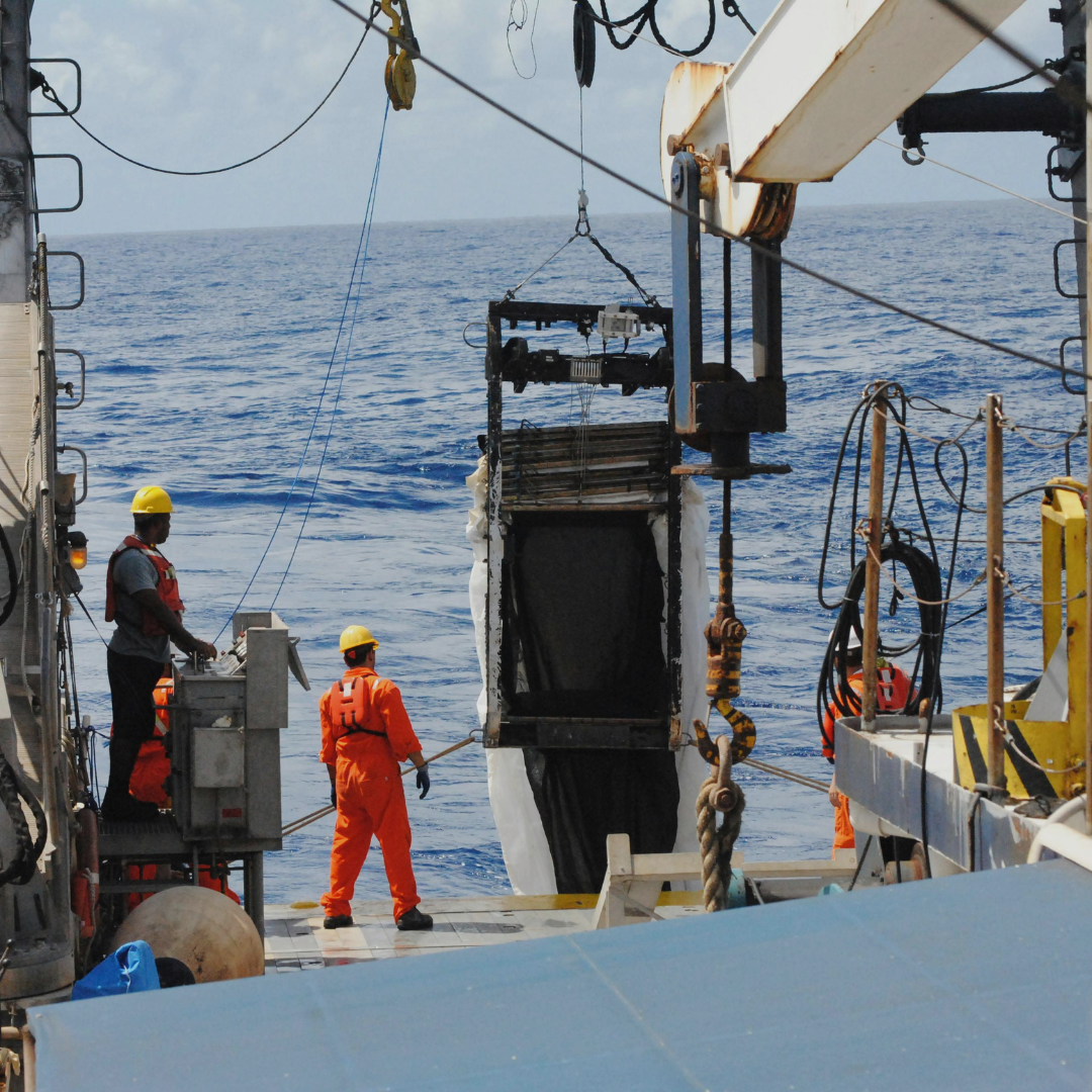 Eco Guard - Singapore Pest Control - Marine & Vessel Operations