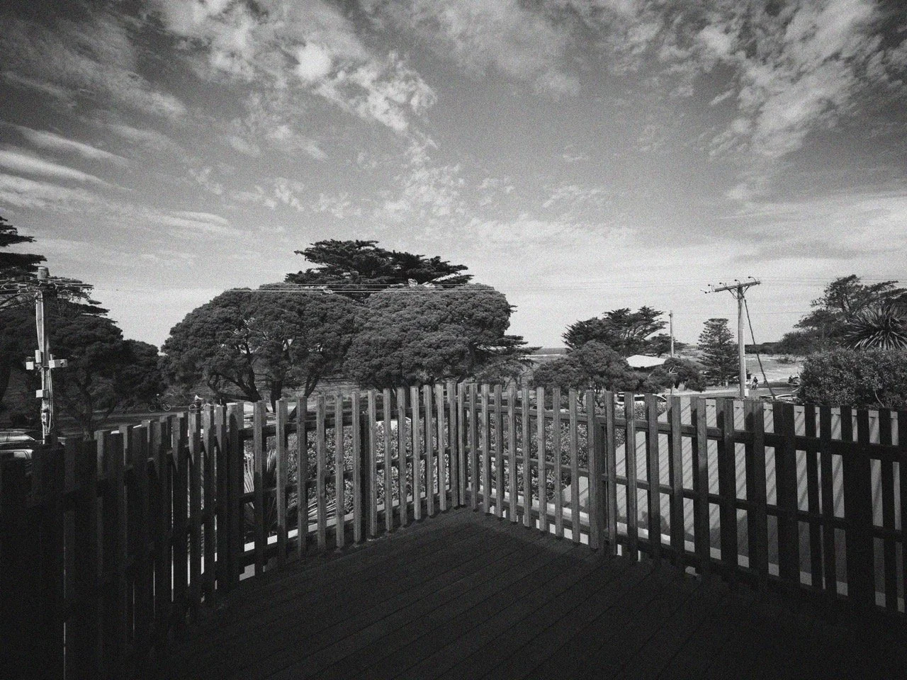 SH_RH_export_DSCF1107 Large.jpeg