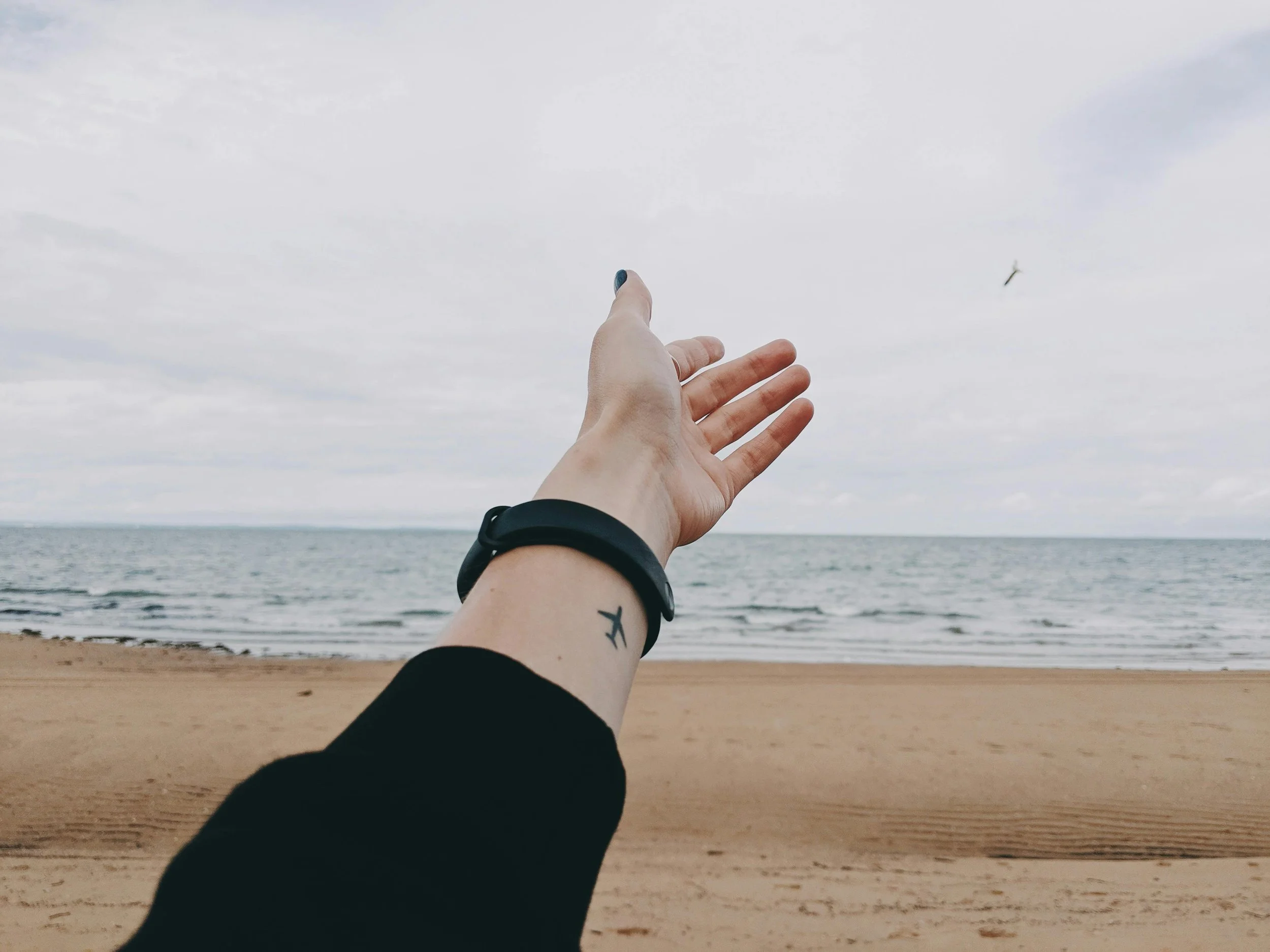 Hand with a tattoo of an airplane reaching towards a flying bird over the beach and ocean with cloudy sky