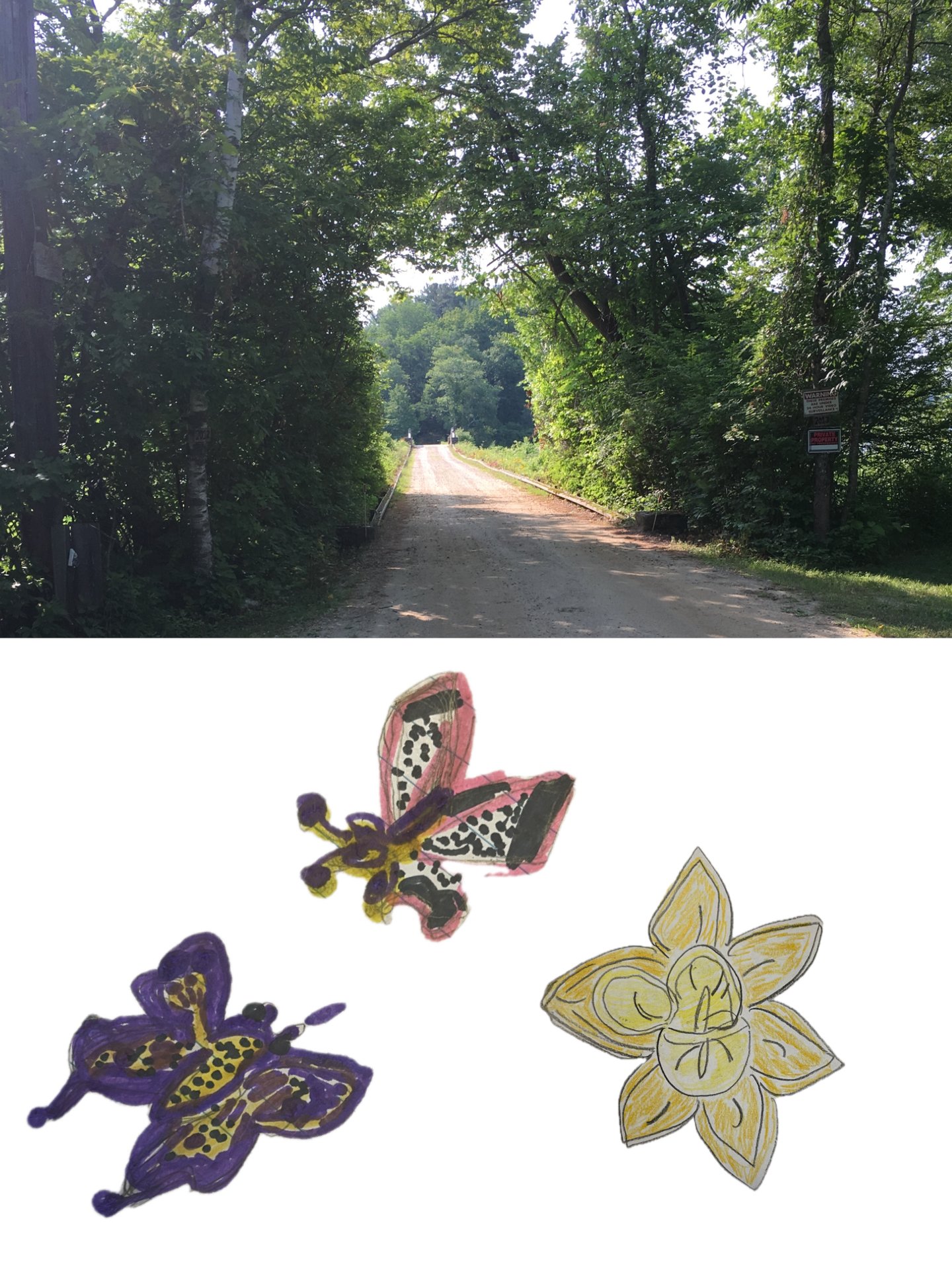   2024: Walking Meditation &amp; Art Therapy Organizer and Presenter Sponsored by Mental Health Connecticut Camp Isola Bella Salisbury, CT  