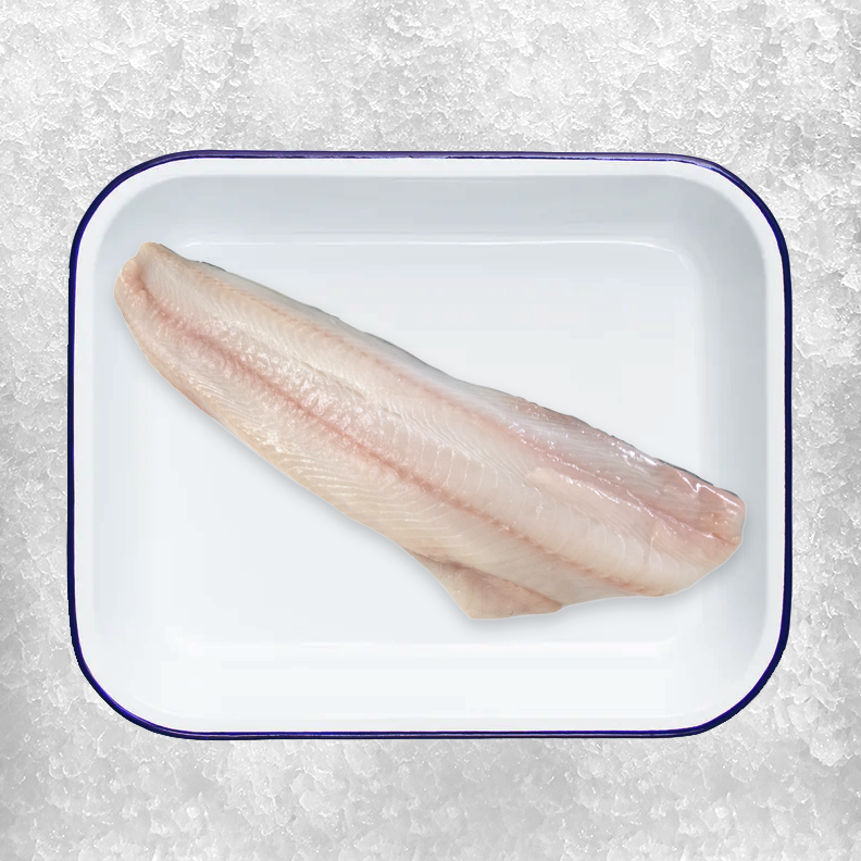 Black Cod (Sablefish)