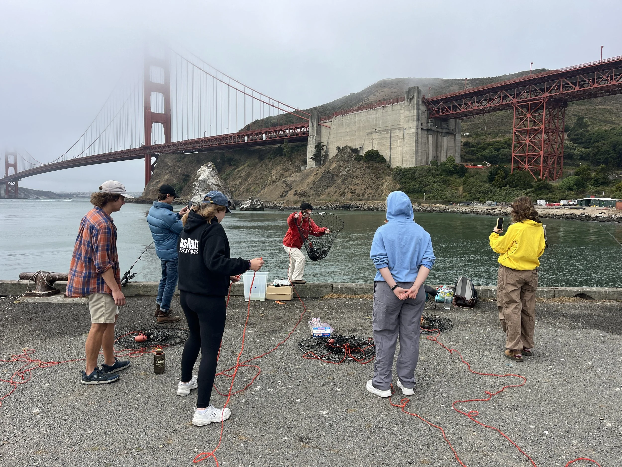 3-Hour Catch & Cook Crabbing Lesson in Sausalito, California